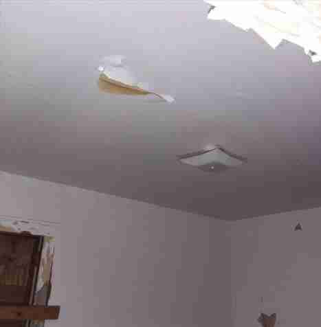 4200156_0011 (2).jpg